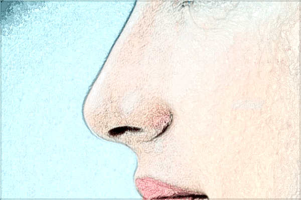 2024價目表_包括哪幾項