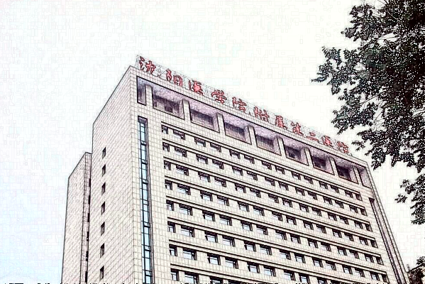 2024沈陽二院假體隆胸怎么樣_附醫(yī)生名單