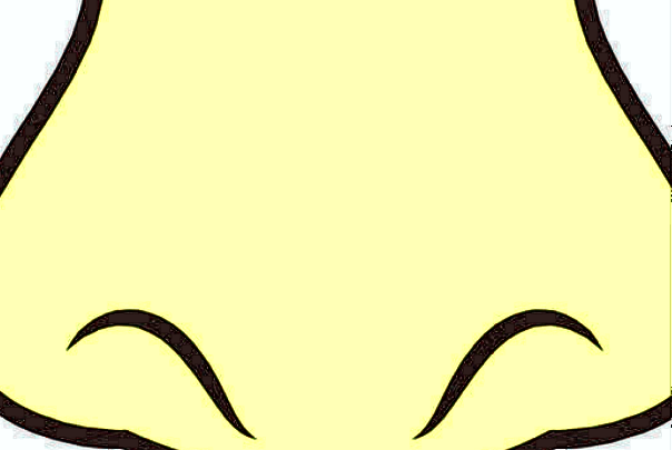 膨體隆鼻會(huì)不會(huì)越來(lái)越低?膨體隆鼻會(huì)吸收變低嗎?