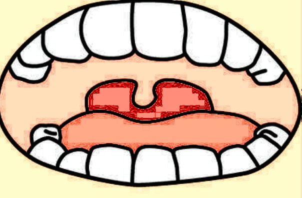 嘉興二院種植牙哪個醫(yī)生好?2024醫(yī)生收費(fèi)價格