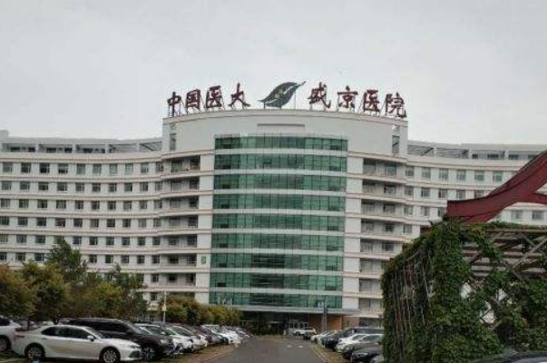 沈陽(yáng)盛京醫(yī)院隆胸做的怎么樣_誰做得好