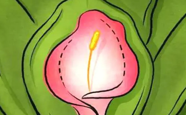 成都錦欣婦產(chǎn)科醫(yī)院私密整形價(jià)目表?術(shù)后半年案例點(diǎn)評(píng)