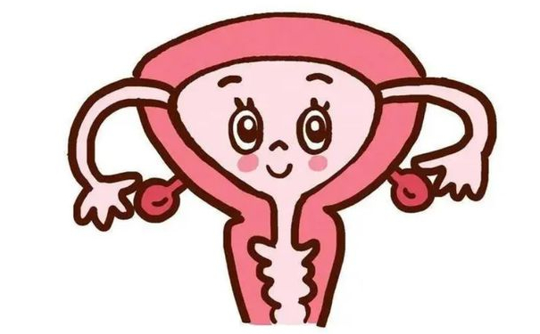 湖北省第三人民醫(yī)院劉坤私密整形價(jià)目表?技術(shù)特色&90天案例