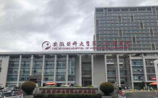 安徽醫(yī)科大學(xué)第二附屬醫(yī)院李紅紅v臉提升手術(shù)怎么樣?需要多少錢?術(shù)后6個(gè)月案例&技術(shù)特色