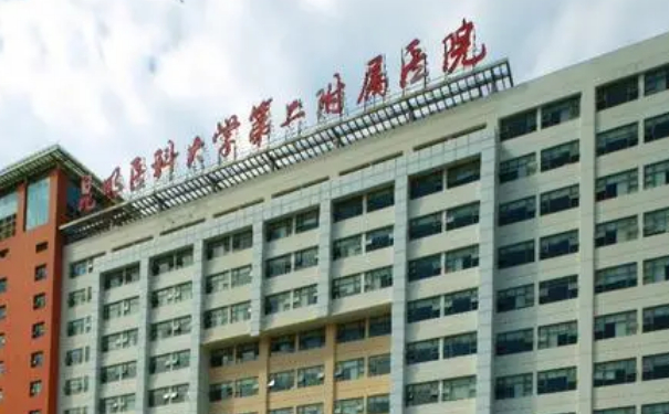 昆明醫(yī)科大學第二附屬醫(yī)院劉垠疤痕疙瘩修復技術怎么樣?醫(yī)生信息