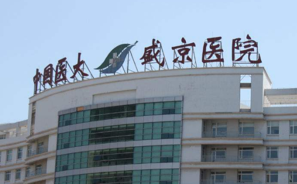 盛京醫(yī)院自體脂肪填充120天案例反饋(效果怎么樣?技術(shù)等級(jí))